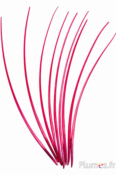 Gans schacht - 25-30 cm - roze